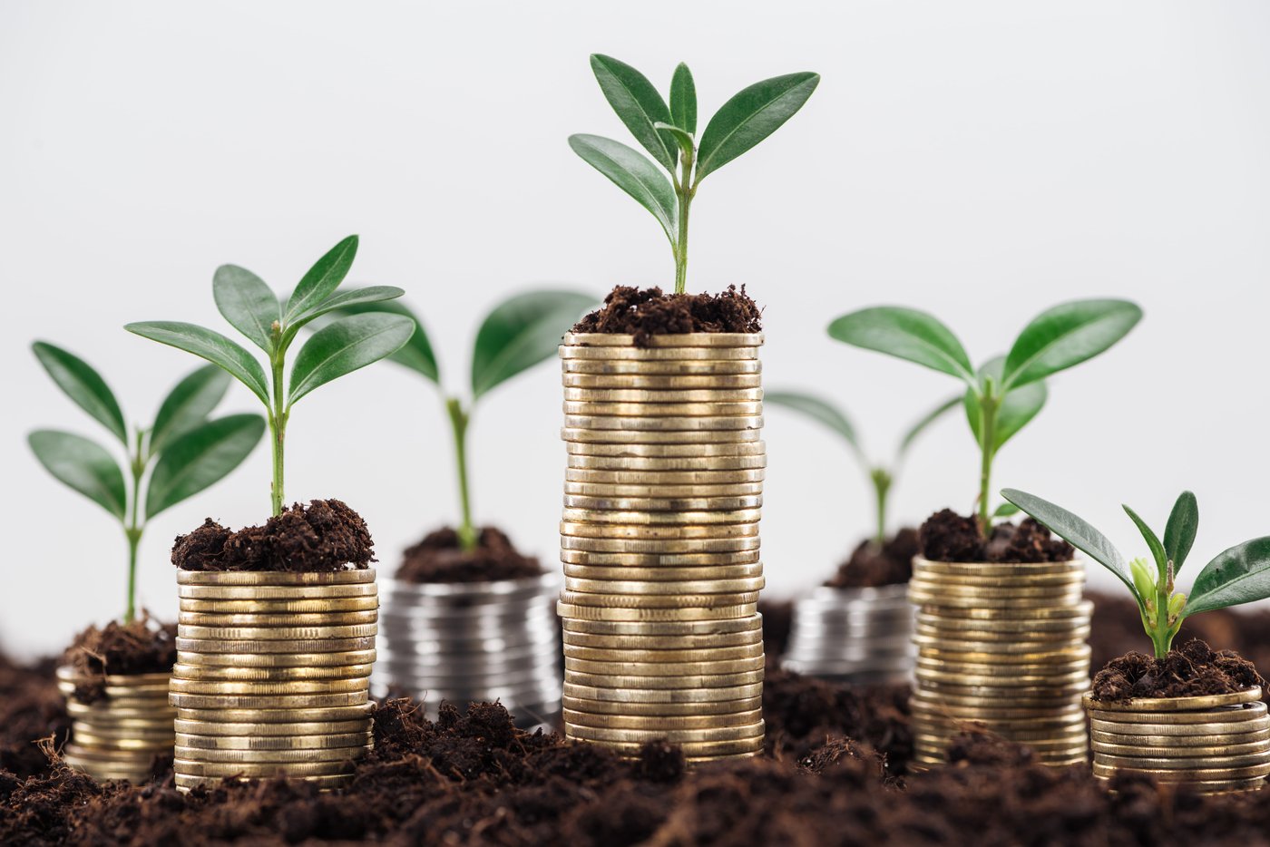 Build wealth — long-term investment growth
